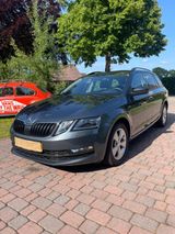 Skoda Oktavia  4x4 Allrad - Skoda: Oktavia