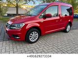 Volkswagen Caddy PKW Comfortline 1 Hand/Kliam/Temp/Frontass - scheckheftgepflegte VW Caddy