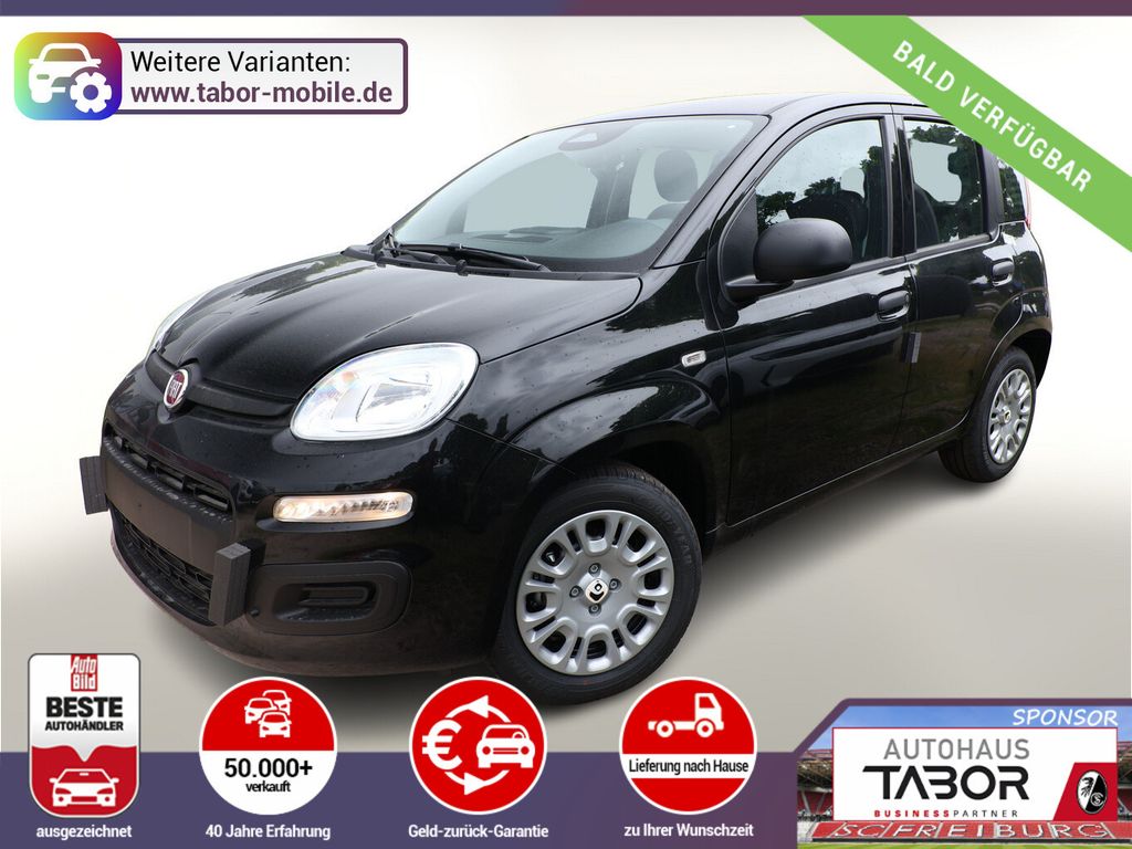 Image of Fiat Panda