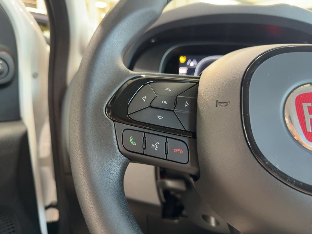 Fahrzeugabbildung Fiat Pandina Icon, PDC hinten,DAB,Klima,ZV,Radio,Temp