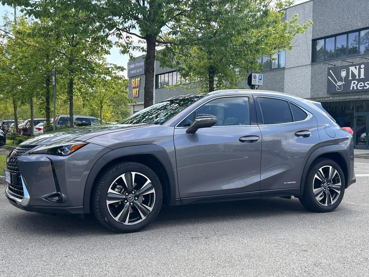 LEXUS ANDERE