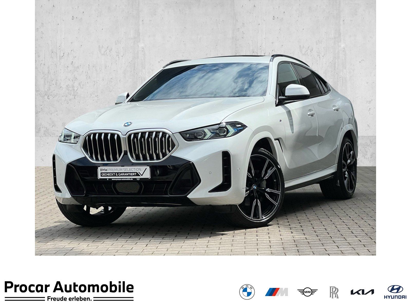 BMW X6 - Bild 1