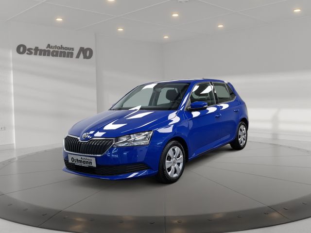 Skoda Fabia 1.0 TSI Cool Plus SHZ DAB+ Klimaanlage