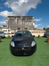 Fiat Punto Classic 1.2 5 porte Active - Fiat Punto Class mit Benzin-Antrieb