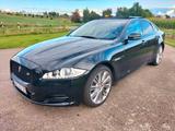 Jaguar XJ Portfolio 3.0 V6 Kompressor AWD Portfolio - Jaguar: 3.0