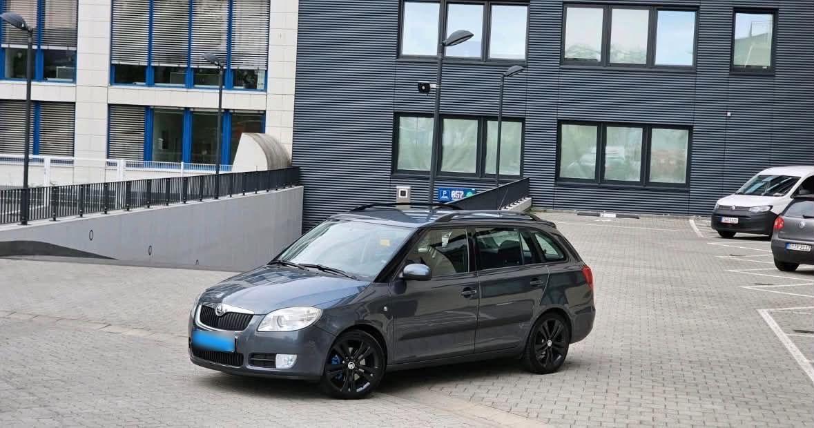 Skoda Fabia 2010 — вигляд ззаду