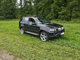 BMW Bmw X5 e53 4.4 - BMW X5 aus 2004: 4.4