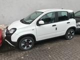 Fiat Panda 1.0 GSE Hybrid MY22 Cross City Sitzheizung - Fiat Panda Tageszulassungen