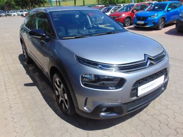 Bild 2 Citroën C4 Cactus Shine