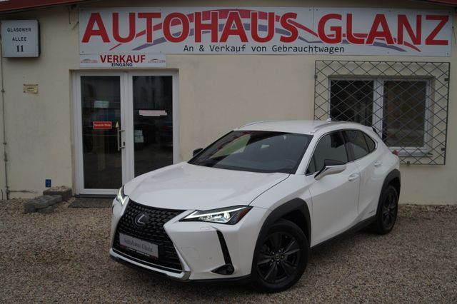 Lexus UX 250 h 1.Hand*41tkm*SHG*Navi*Kamera*TÜV:NEU