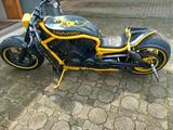 Harley-Davidson V Rod Custom - Angebote