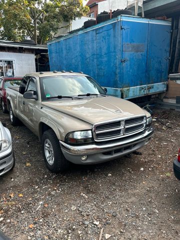 Otros Dodge Dakota V6 (LKW Zulassung)