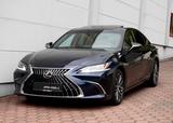 Lexus ES 300h Business Line °SHD°LEDER BRAUN°ACC° - Lexus ES 300 aus 2024
