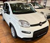 Fiat Panda Base 1.0 GSE Hybrid - Fiat Panda Gebrauchtwagen in Bremen