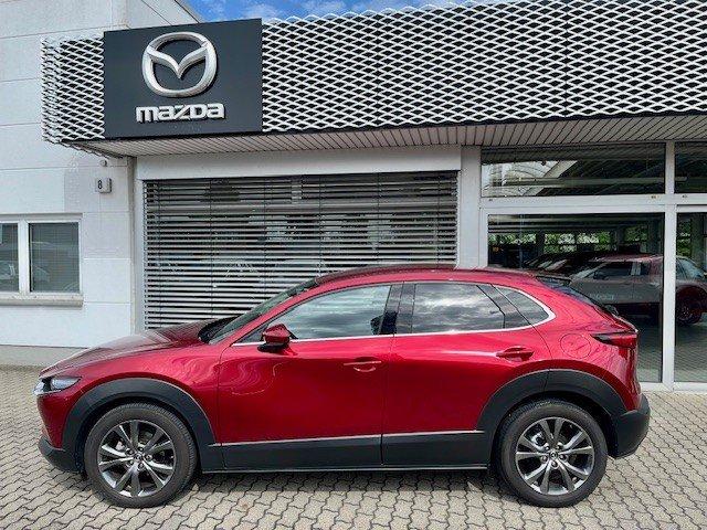 Mazda CX-30 SKY-X M HYBRID LEDER STANDHEIZUNG ANHÄNGER