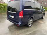 Mercedes-Benz V 250d Avantgarde Long Version Burmester 7P  - Mercedes-Benz V 250