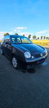 Volkswagen VW Lupo 1.4 16v 75ps  TÜV BIS 08 / 2027  +... - Volkswagen Lupo: 1.7
