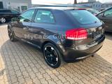 Audi A3 2.0 TDI Ambition Bose Xenon Leder EXPORT - Audi A3 aus 2003: 2.0