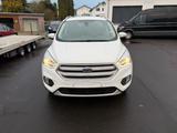 Ford Kuga Business Edition - Ford Kuga: Business Edition