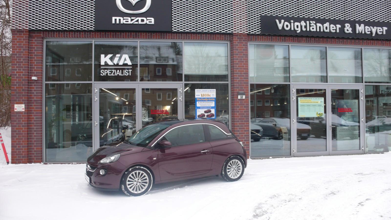 Opel Adam Glam ecoFlex Panorama Ganzjahresreifen