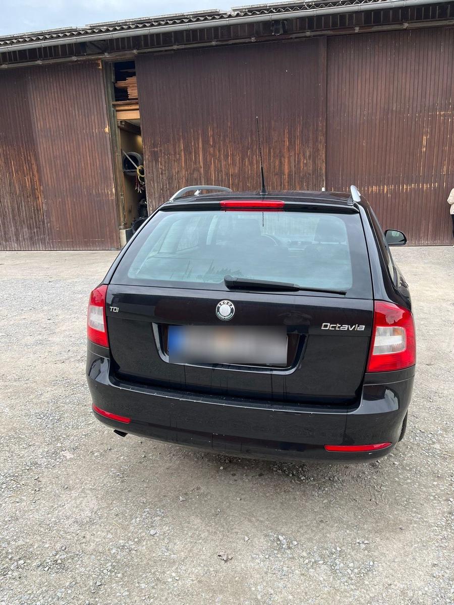 Skoda Octavia 2009 — photo 6