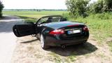Jaguar XK 4.2L V8 Cabriolet - Vollausstattung   - Jaguar XK von privat