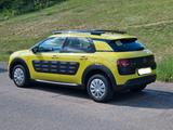 Citroën C4 Cactus PureTech 82 Feel - Citroën C4 Cactus aus 2016