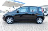 Fiat Panda 1.0 GSE Hybrid -5 km - Fiat Panda Jahreswagen