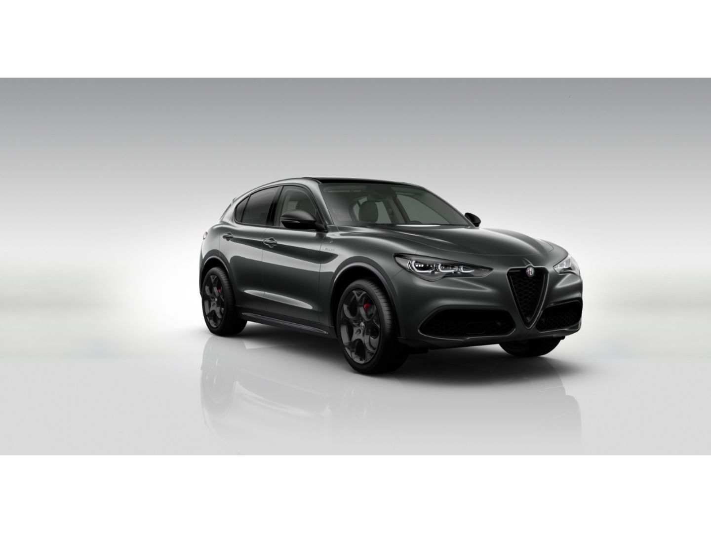 Fahrzeugabbildung Alfa Romeo Stelvio Veloce Q4 2.0 Turbo - AHK - 21 Zoll- Pan