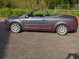 Ford Focus CC 2,0 Trend Trend - Ford Focus aus 2007: Cabrio