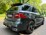 Mercedes-Benz ML 500 4MATIC - Sternenhimmel  - Mercedes-Benz ML 500: 4matic