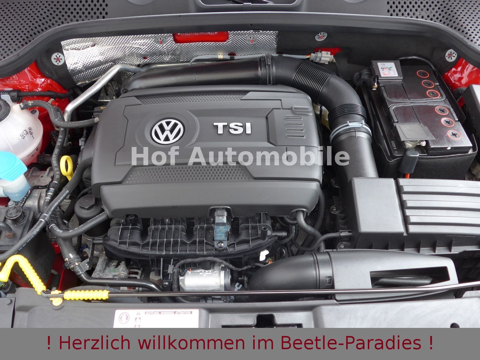 Volkswagen Beetle 2.0TSI R-Line Xenon Navi Color4me 20-Zoll foto 20
