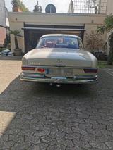 Mercedes-Benz 250 - gebrauchte Mercedes-Benz 250 aus dem Jahr 1967