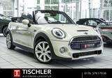 MINI Cooper S Cabrio Automatik Chilli*PDC*Leder*SHZ* - weiße MINI Cooper S Cabrio