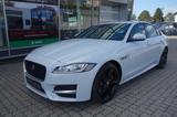 Jaguar XF 3,0 d V6 R-SPORT KAMERA/XENON/19''/NAVI/eHECK - Jaguar mit Diesel-Antrieb: Limousine, Automatik