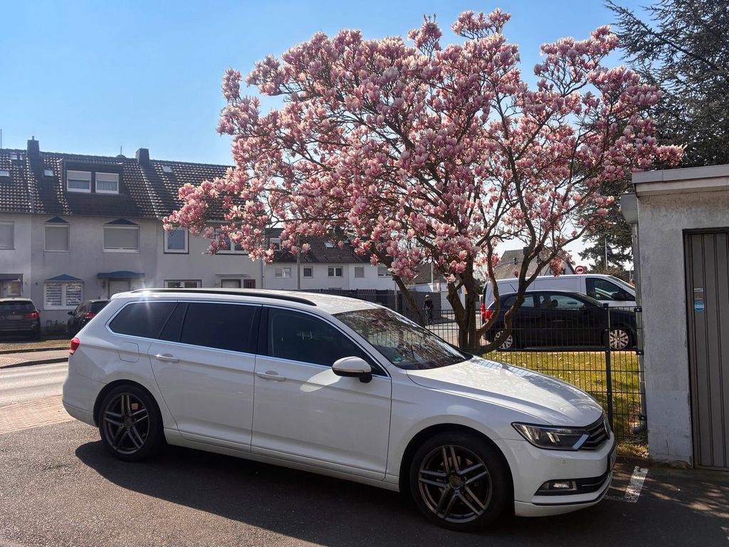 Image of Volkswagen Passat Variant