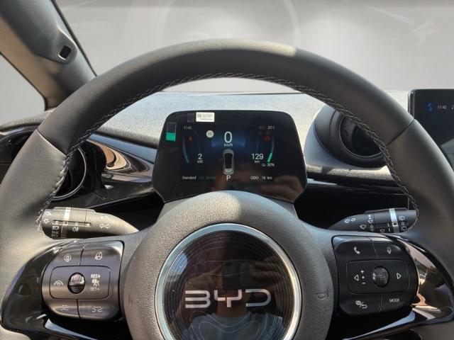 BYD Dolphin Design Pano/LED/360Kamera/Smartkey