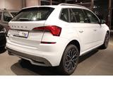 Skoda Kamiq 1.0 TSI Style DSG*LED*CAM*ACC*DSG*VIRT* - Skoda Kamiq in Braunschweig