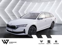 Skoda Octavia - Vorschau Bild 1