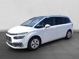 Citroën Grand C4 Picasso/Spacetourer Feel - weiße Citroën Grand C4 Picasso / SpaceTourer