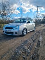 Volkswagen VW Lupo GTi , 125 PS, 5 Gang,  Klima,  ZV,... - Volkswagen Lupo: GTI