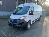 Fiat Ducato Maxi Grossr.-Kasten 35 140 L5H2 RS: 4035 - Fiat Kastenwagen hoch + lang Maxi
