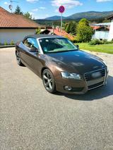 Audi A5 Cabrio 2,0l TDI 170PS - Audi A5: TDI 170