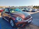 Volkswagen Beetle Design BMT ab 89€ mtl finanzieren - gebrauchte VW Beetle aus dem Jahr 2017
