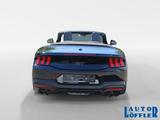 Ford Mustang GT Convertible 5.0 V8 KLIMA^ RFK^ NAVI^ - Ford Mustang: 5.0