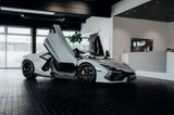 Lamborghini Revuelto *Full Carbon*Racing Seats*Grigio HAITI* - graue Lamborghini Revuelto