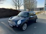 MINI Mini Cooper Checkmate * CarPlay*PANO* KLIMA - MINI: Checkmate