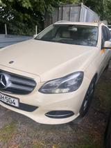 Mercedes-Benz E 220 BlueTEC BE T Edition AVANTG. Auto. Edi... - Mercedes-Benz E 220 mit Diesel-Antrieb: Taxi