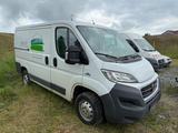 Fiat Ducato Kasten 30 115 L1H1 RS: 3000 mm - Fiat Ducato: 11