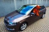 Skoda Rapid Spaceback Style 8xAluräder - Skoda Rapid: Style